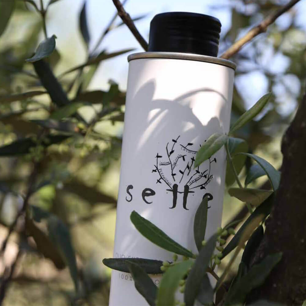 Olio extravergine oliva biologico Sette - Arteagricola