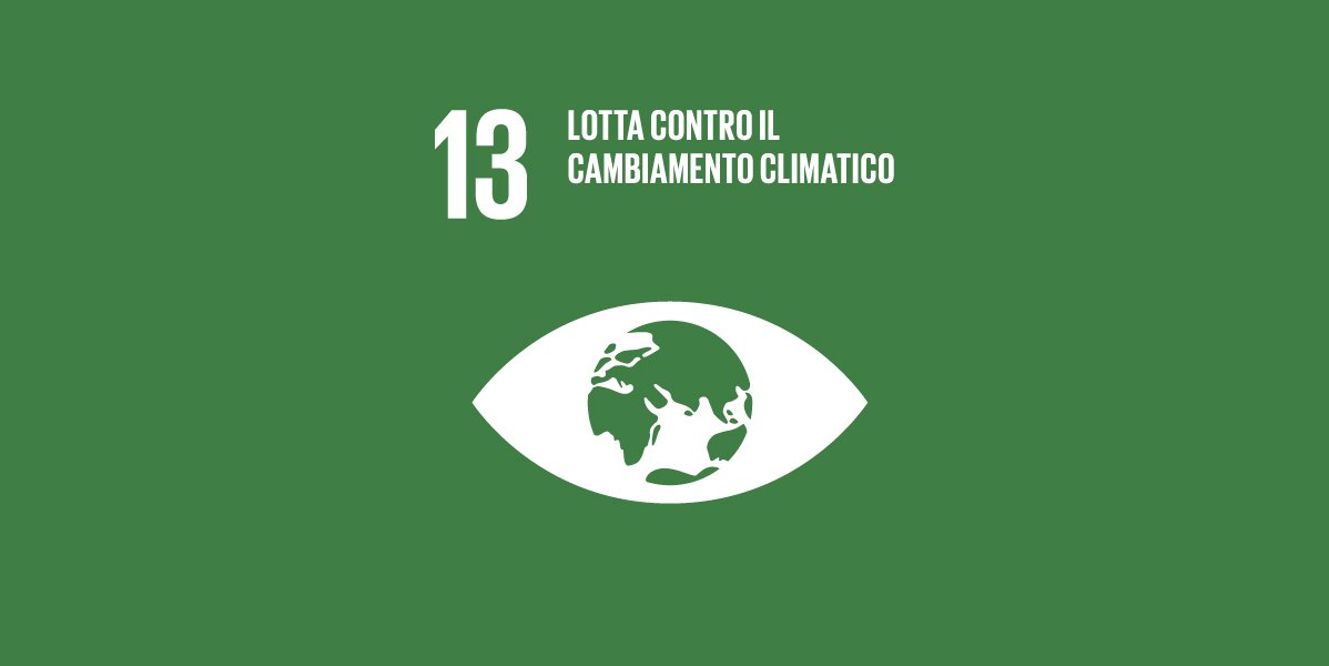 GLOBAL GOALS (13) GLOBAL GOALS 13