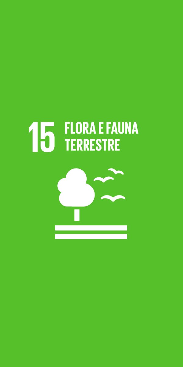 GLOBAL GOALS (15) GLOBAL GOALS 15
