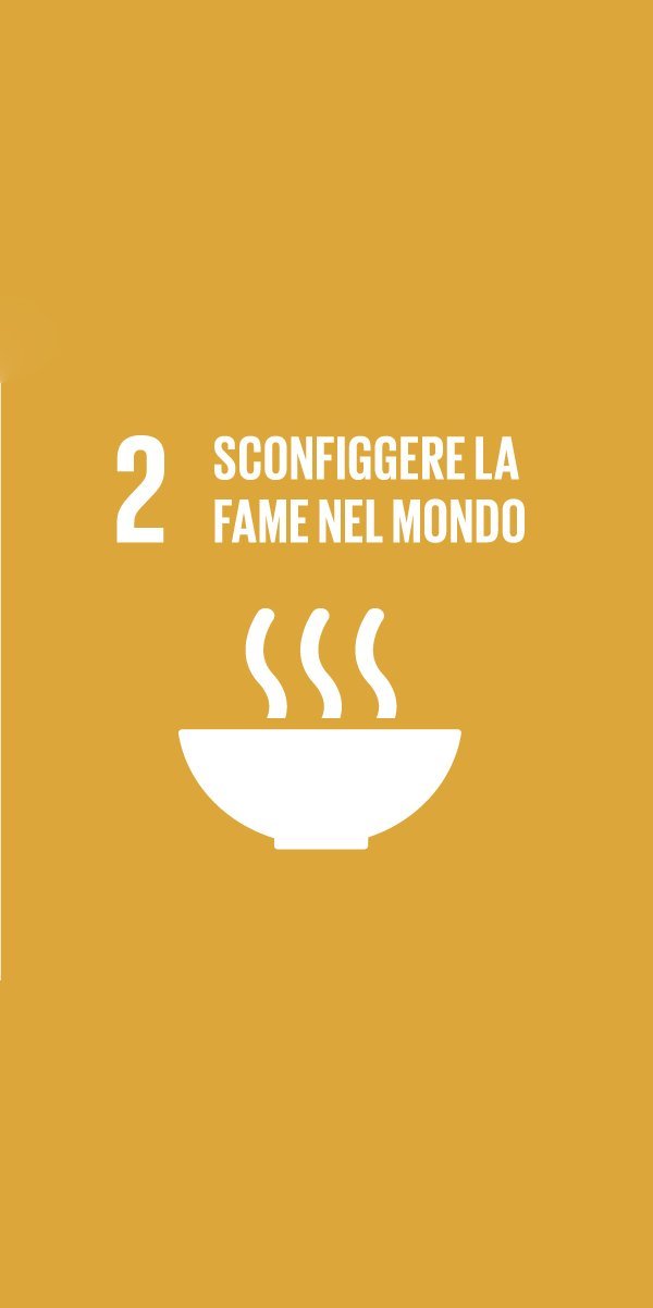 GLOBAL GOALS (2) GLOBAL GOALS 2