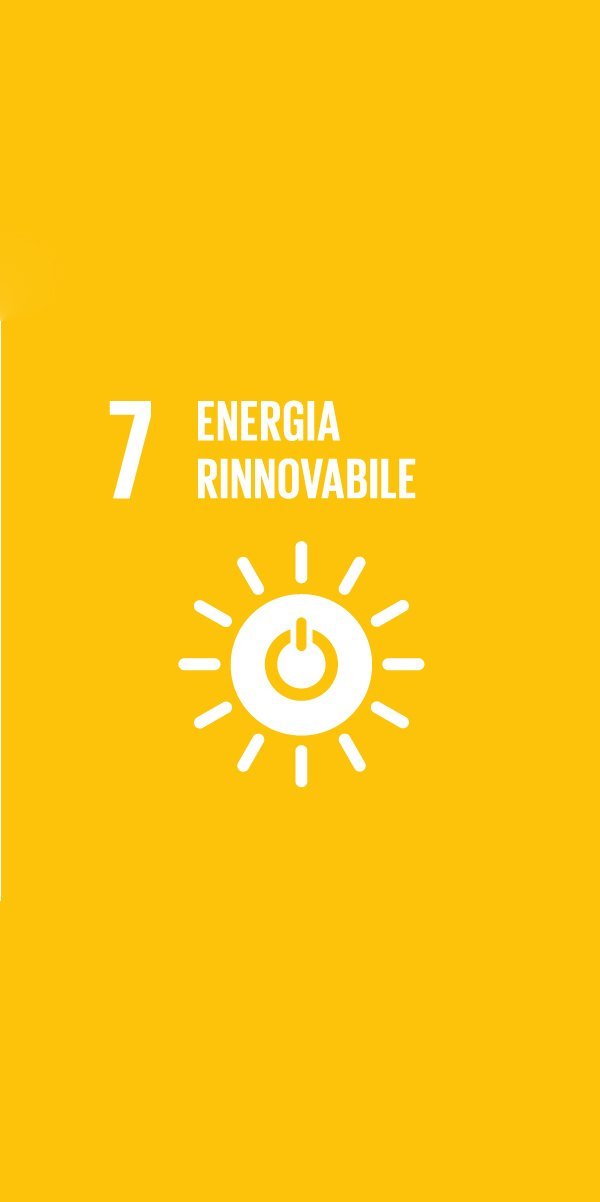 GLOBAL GOALS (7) GLOBAL GOALS 7