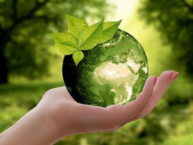 Restore our Earth. Giornata Mondiale della Terra 2021. Il Papa: &ldquo;&Egrave; il momento di agire&rdquo;