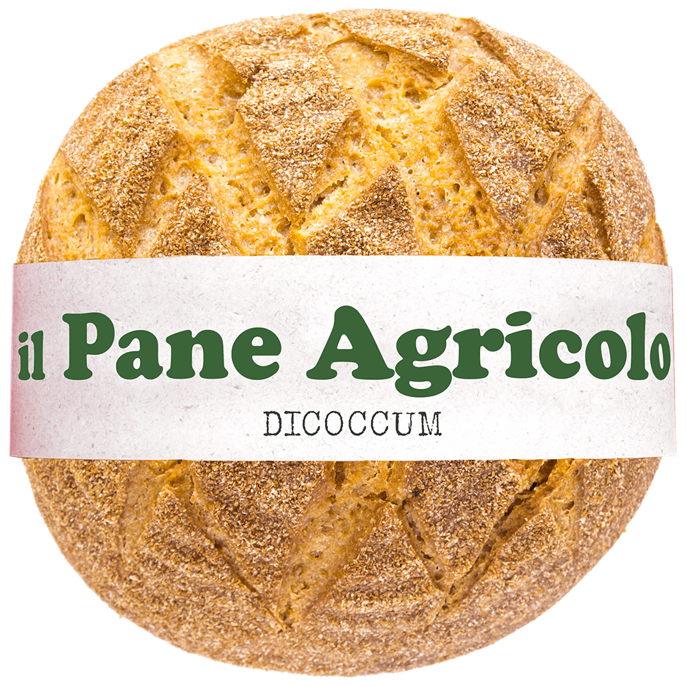 Pagnotta Dicoccum