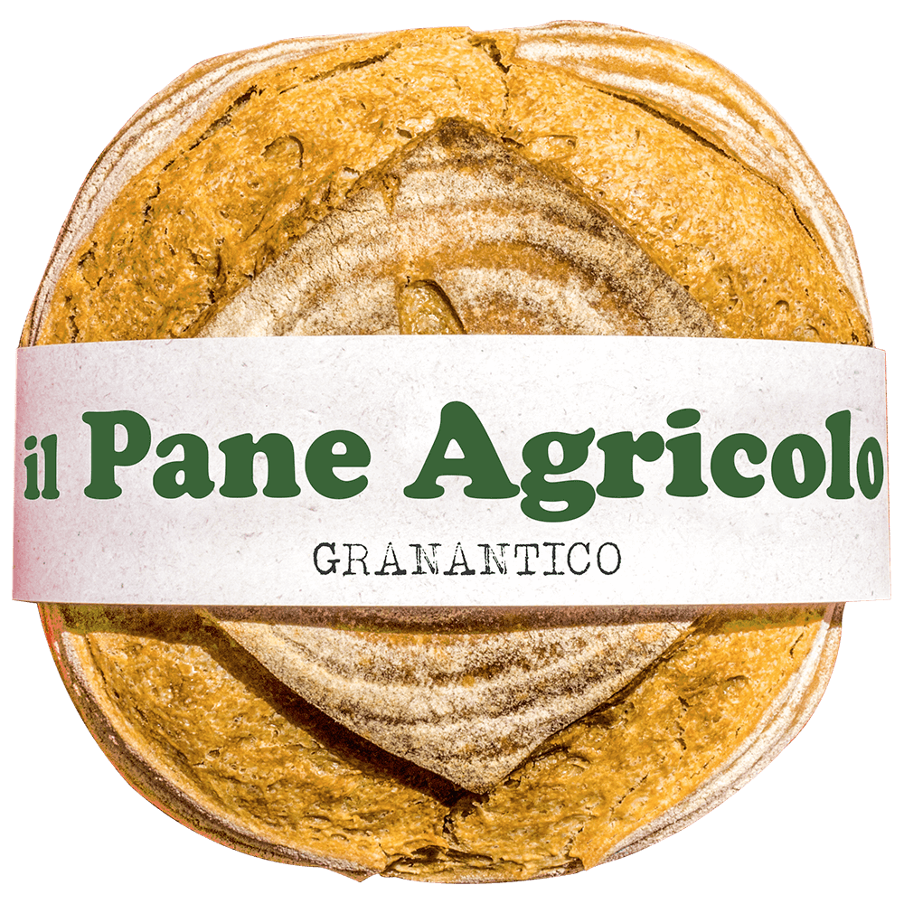 Pagnotta Granantico