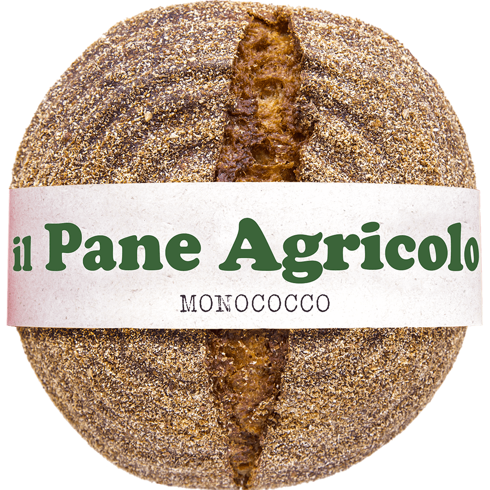 Pasta di farro Monococco biologico - Arteagricola pasta bio artigianale