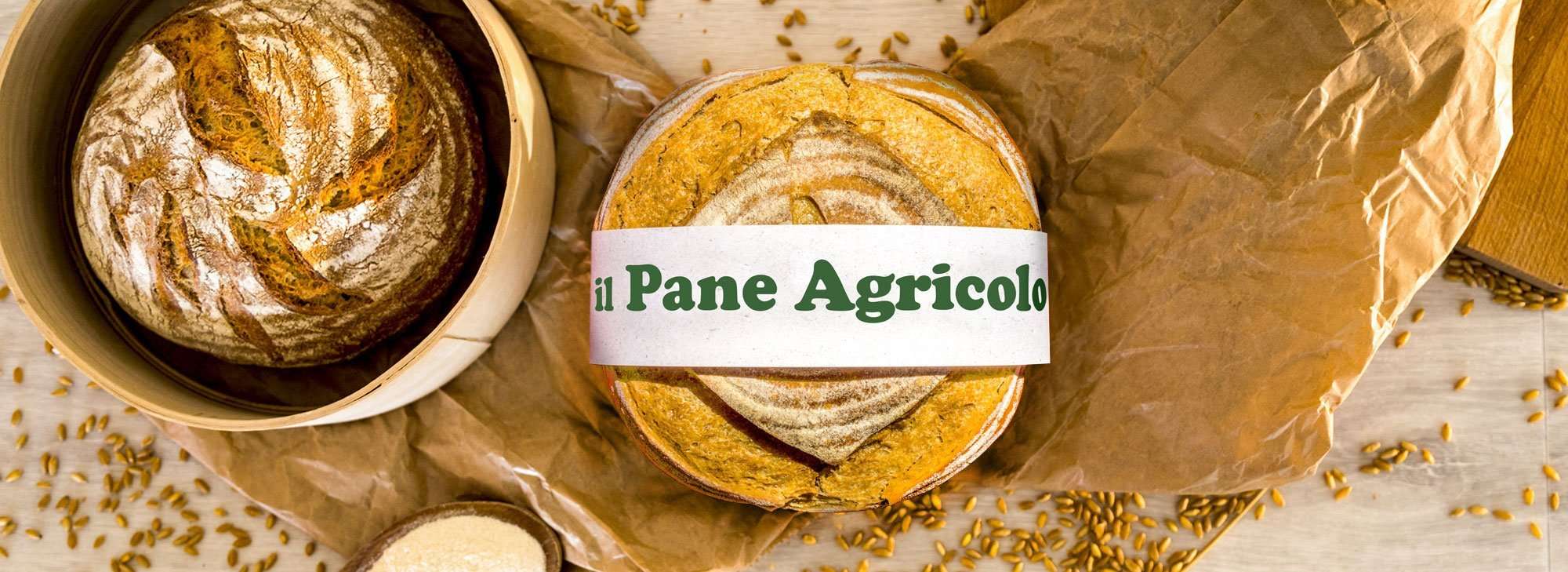 banner-pane-agricolo Il Progetto Agricolo: un patto sociale tra agricoltore, artigiano e consumatore.