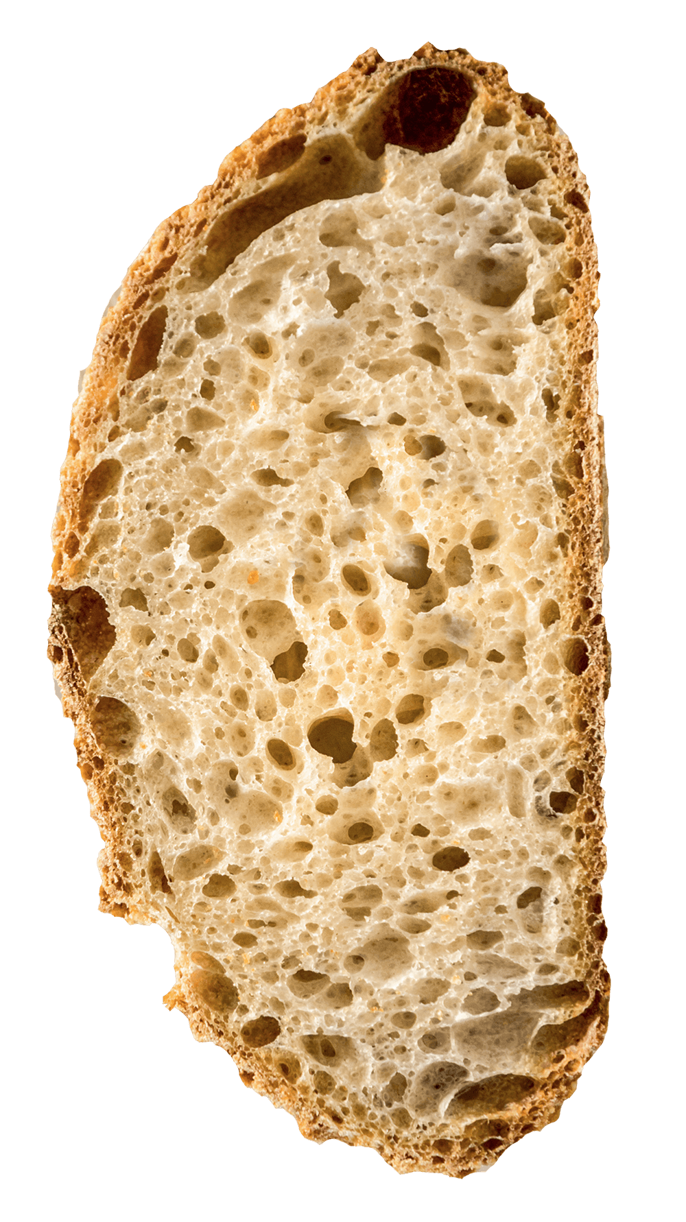 Fetta Pane Agricolo Cappelli Grano Senatore Cappelli - Arteagricola pasta bio artigianale