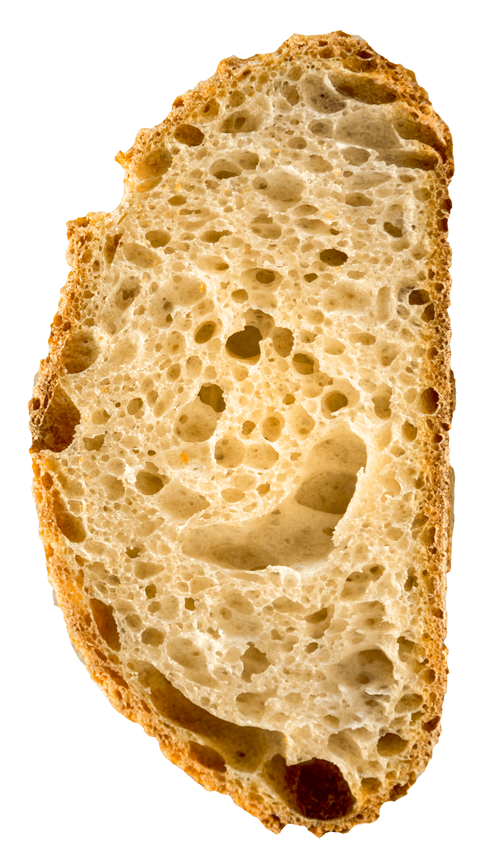 Fetta di pane agricolo Granantico arteagricola