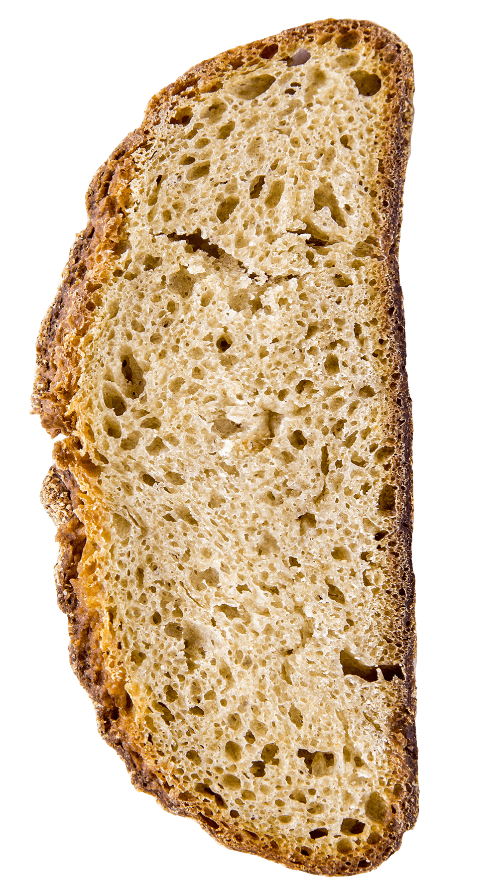 Fetta Pane Agricolo Monococco Pasta di farro Monococco biologico - Arteagricola pasta bio artigianale
