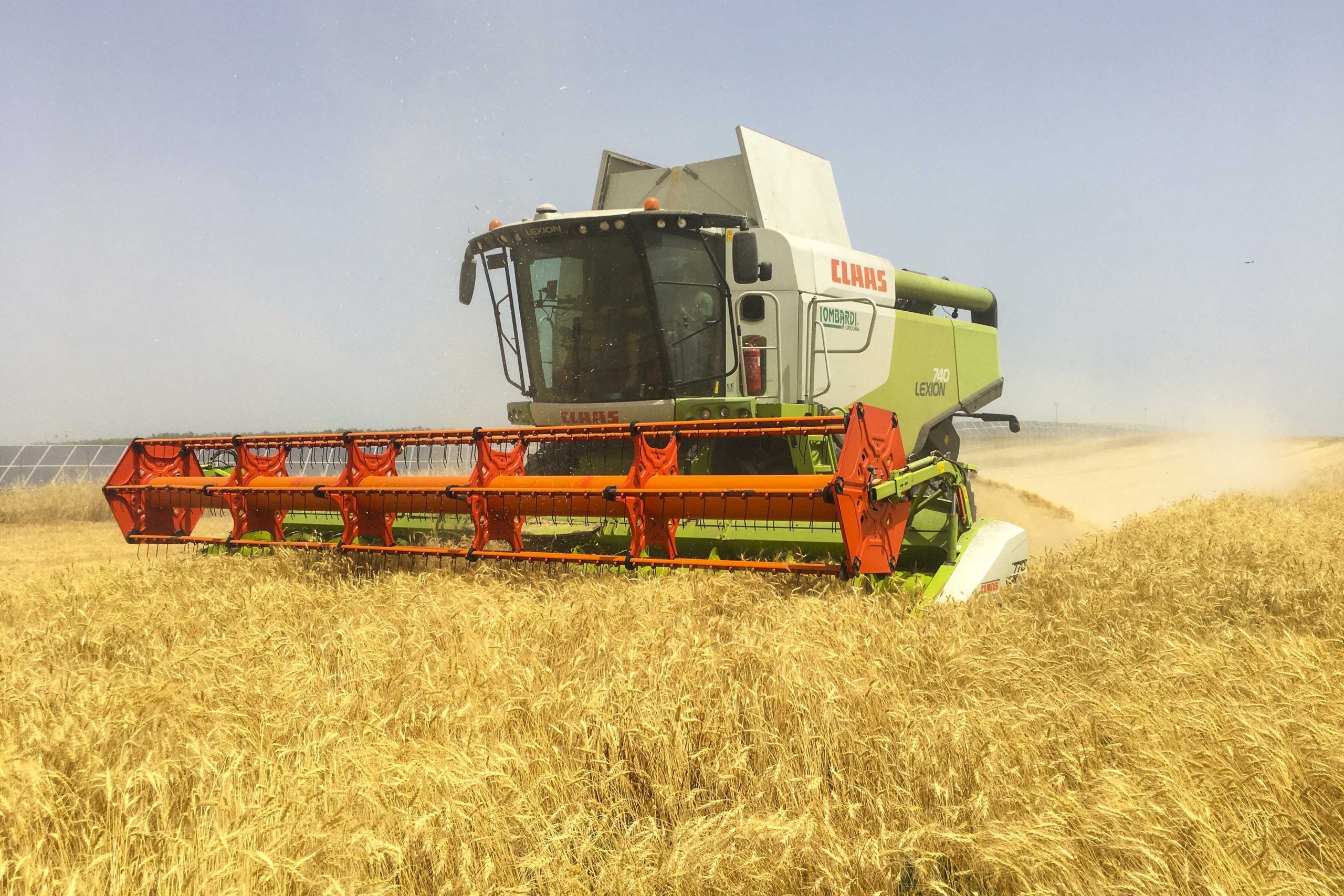 Diari Della Terra: Raccolto Grano Tenero Solina 2021