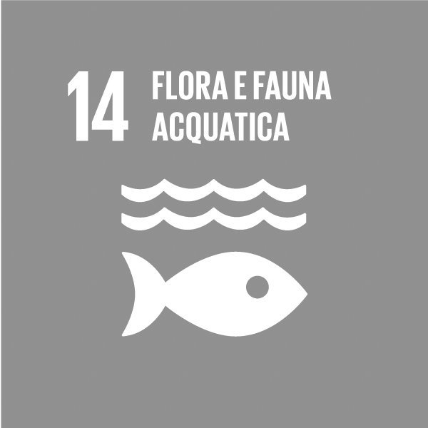 GLOBAL GOALS (14) B GLOBAL GOALS 14 B