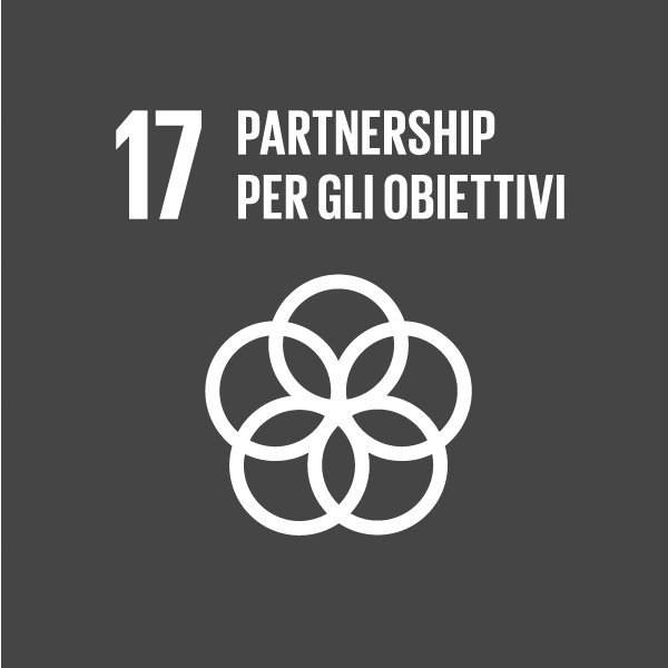 GLOBAL GOALS (17) B GLOBAL GOALS 17 B