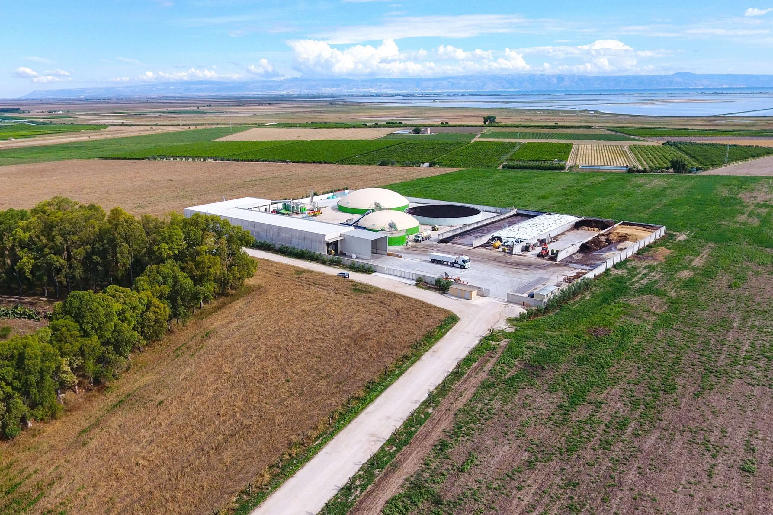 Azienda Scaled