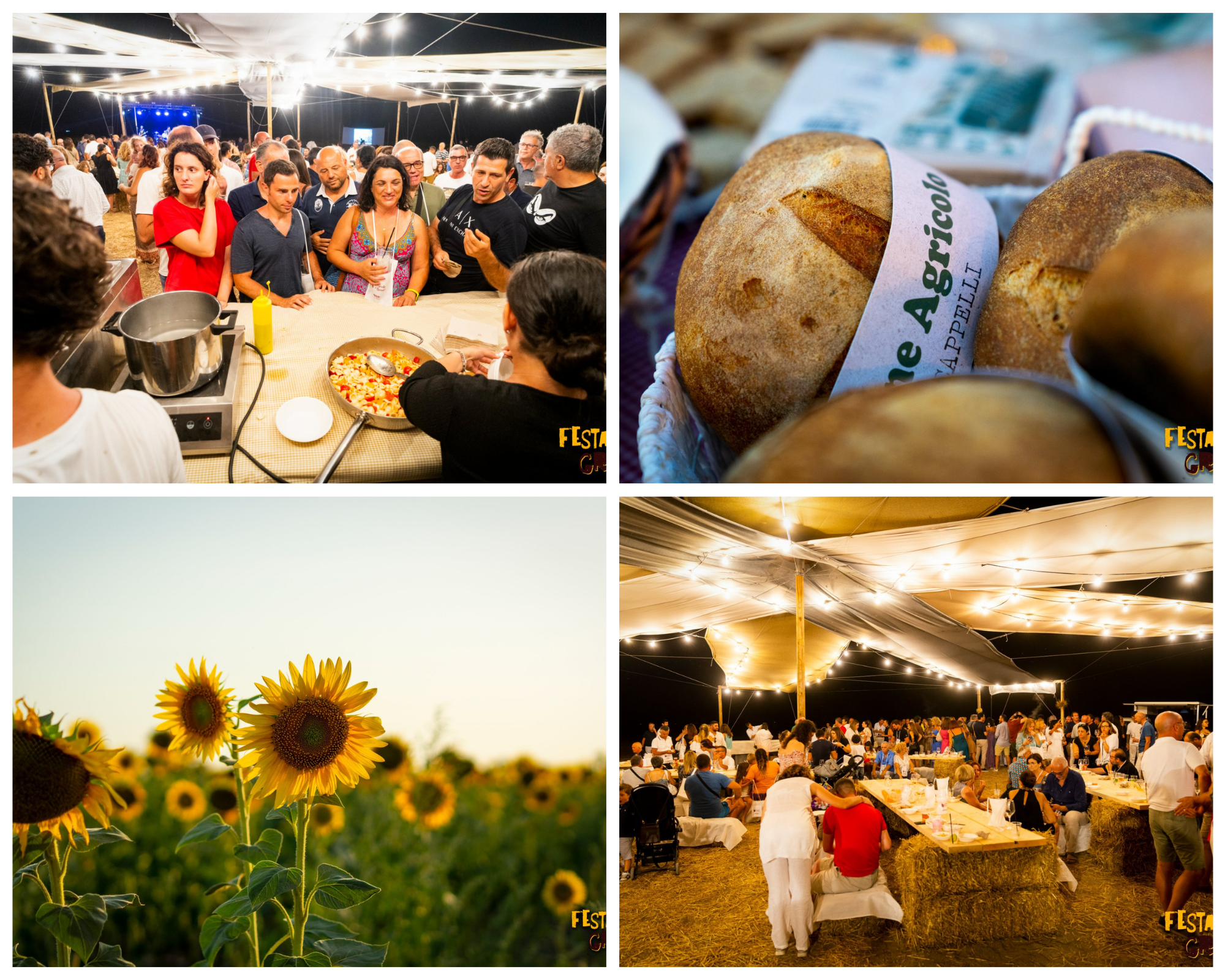 Festa del Grano. Il raccolto del grano che diventa racconto.