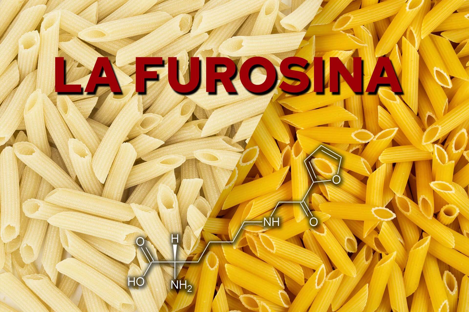 La Furosina Web