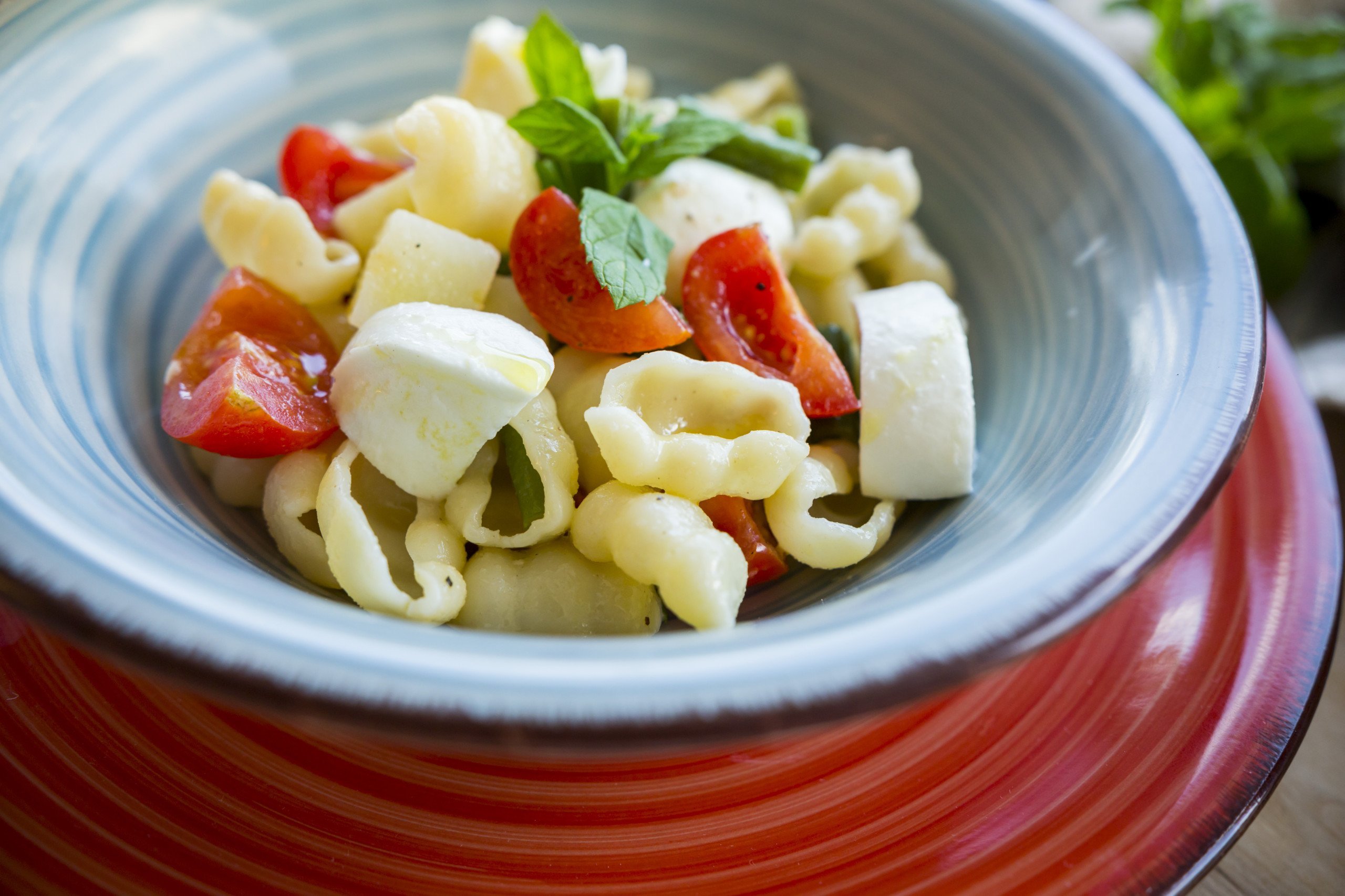 Nuvole Insalata_13 Le Nuvole Senatore Cappelli - Arteagricola pasta bio artigianale