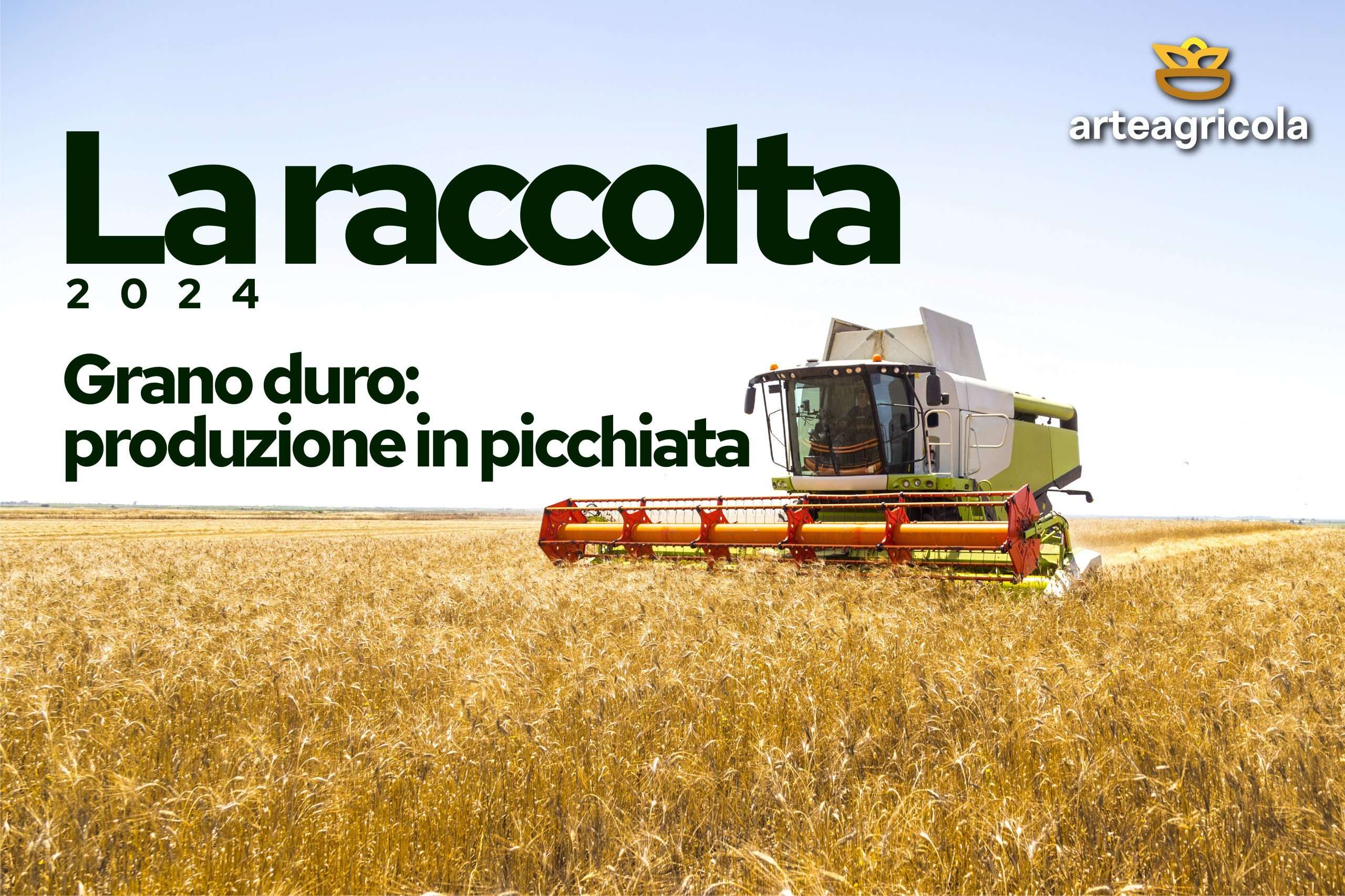 Grano Senatore Cappelli - Arteagricola pasta bio artigianale