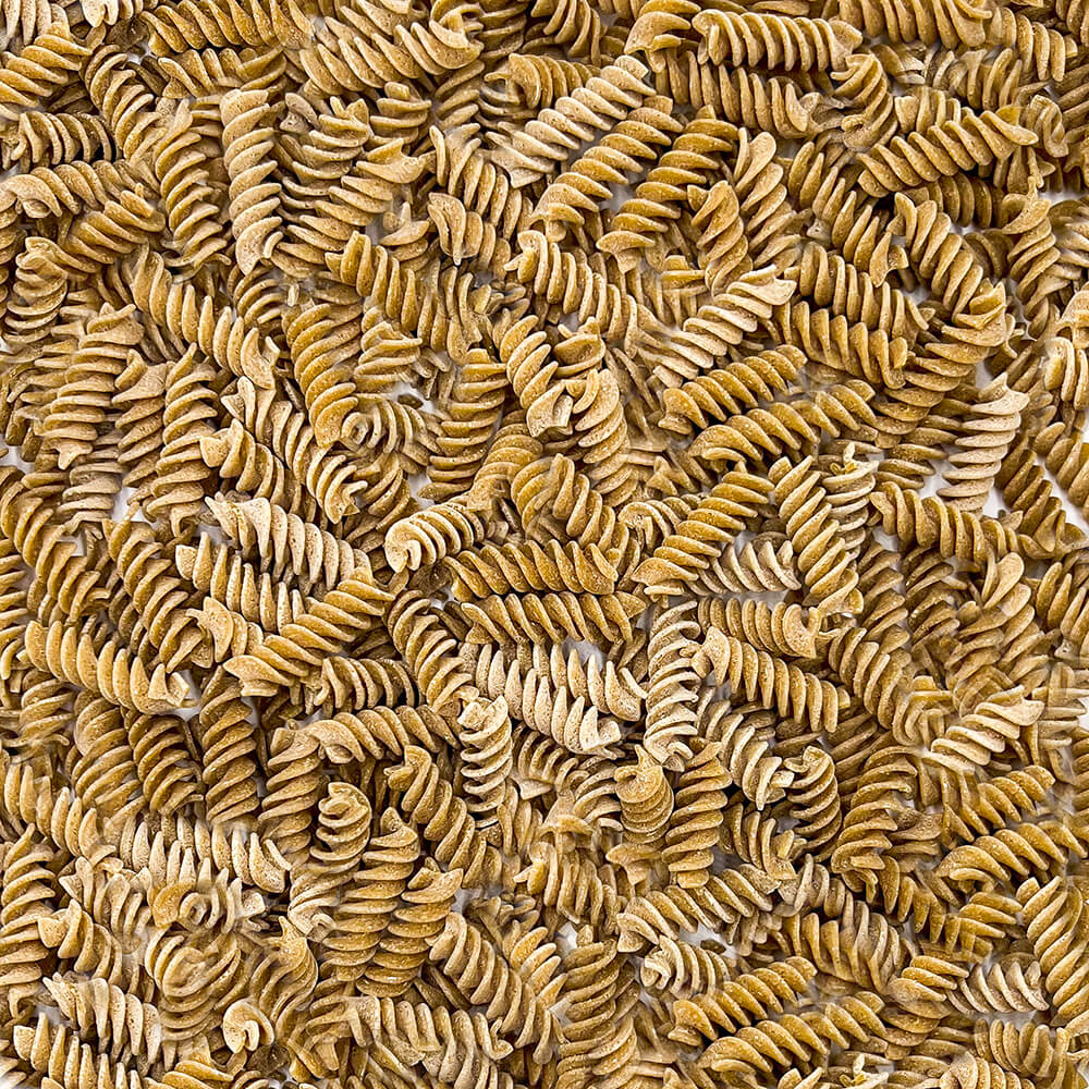 Fusilli Senatore Cappelli dettaglio - Arteagricola pasta bio artigianale