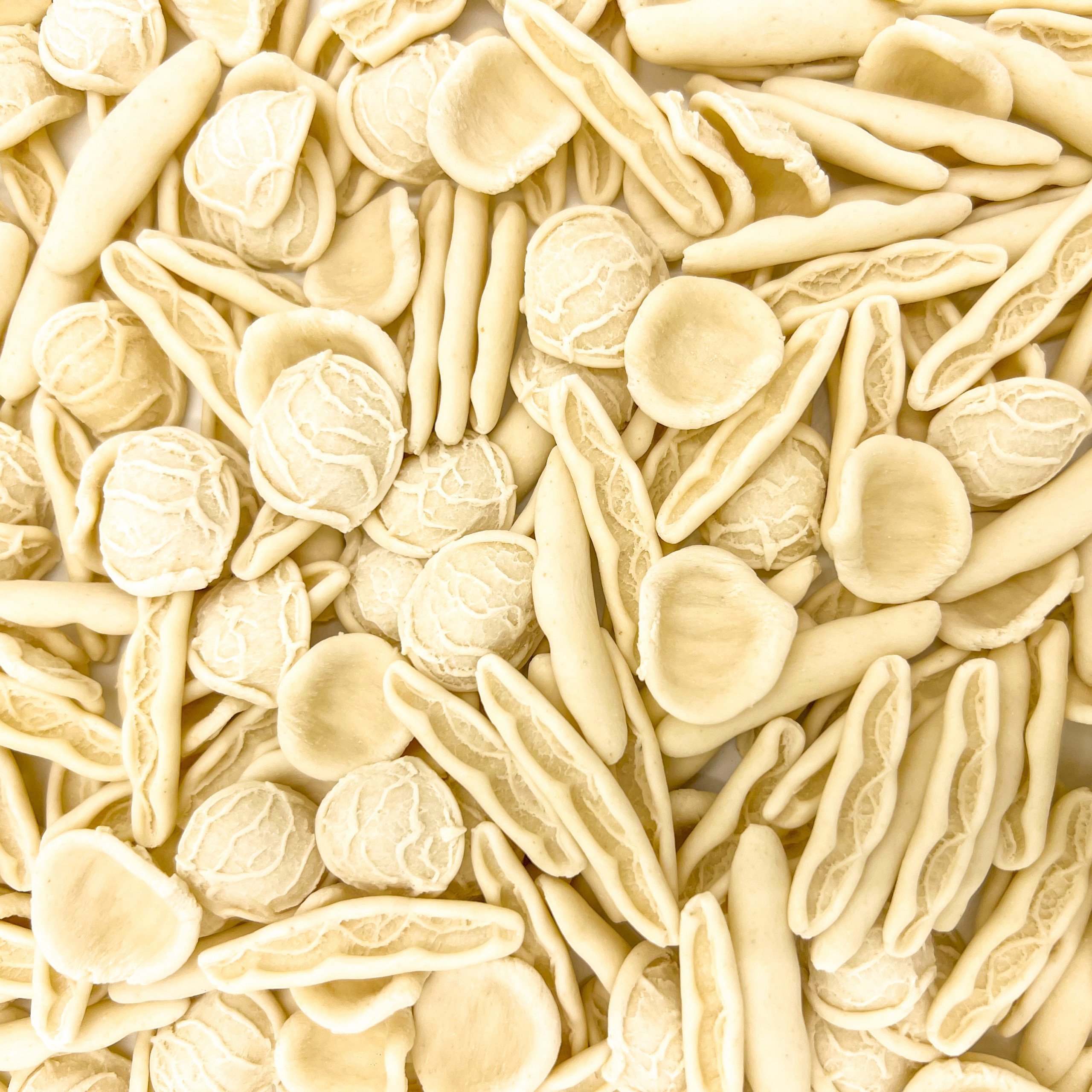 Maritati Senatore Cappelli dettaglio - Arteagricola pasta bio artigianale