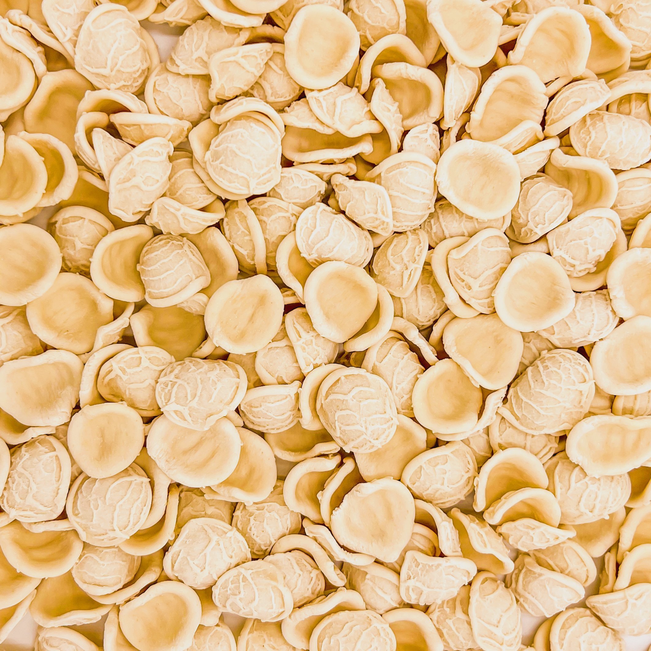Orecchiette Senatore Cappelli dettaglio - Arteagricola pasta bio artigianale