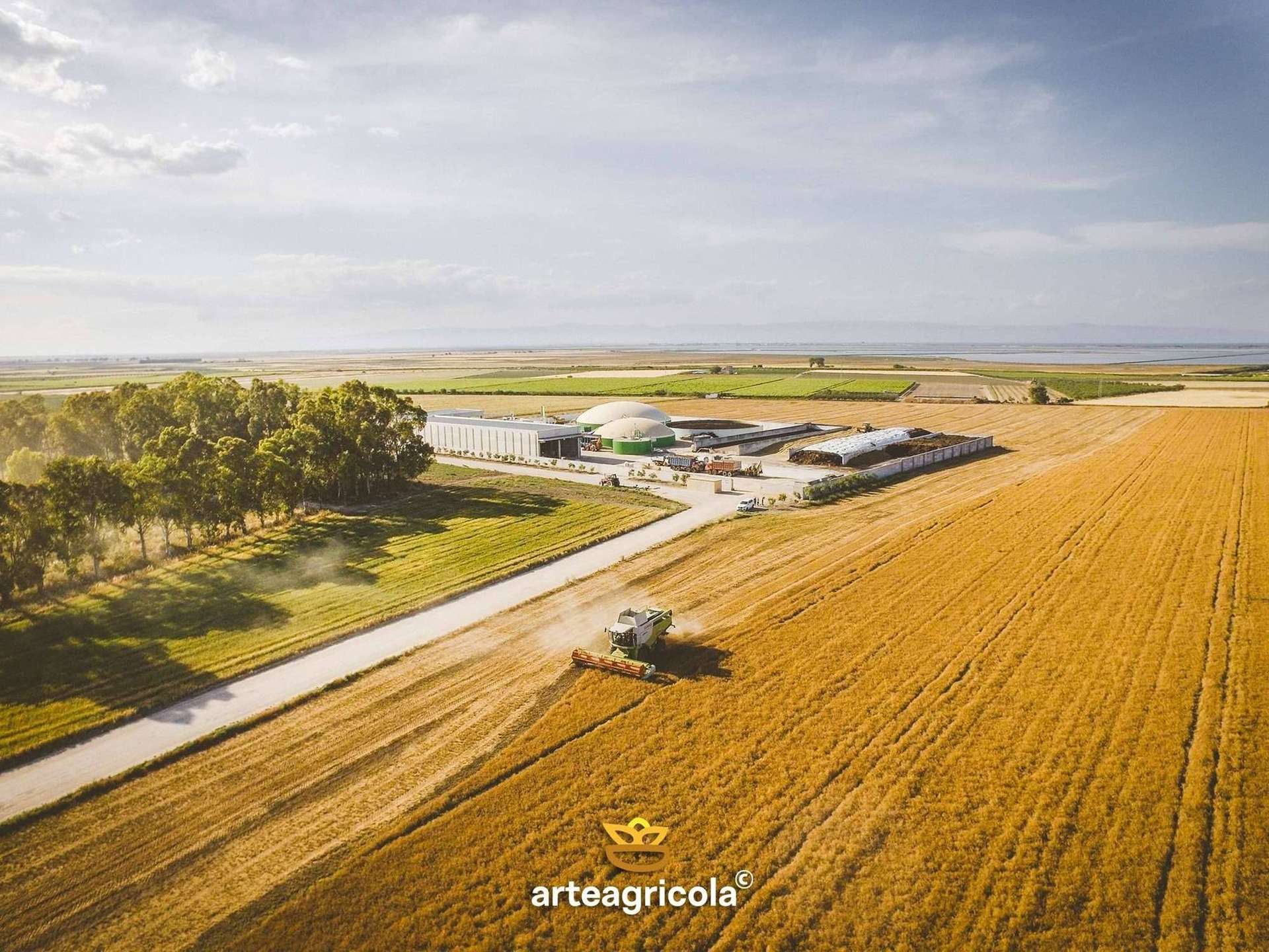 Vista aerea drone arteagricola al tramonto: mietitura Senatore Cappelli, impianto biogas, filiera circolare del Tavoliere delle Puglie