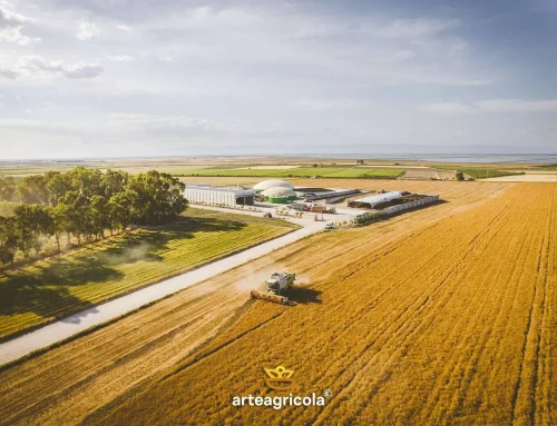 Tavoliere delle Puglie: il grano nella sua terra