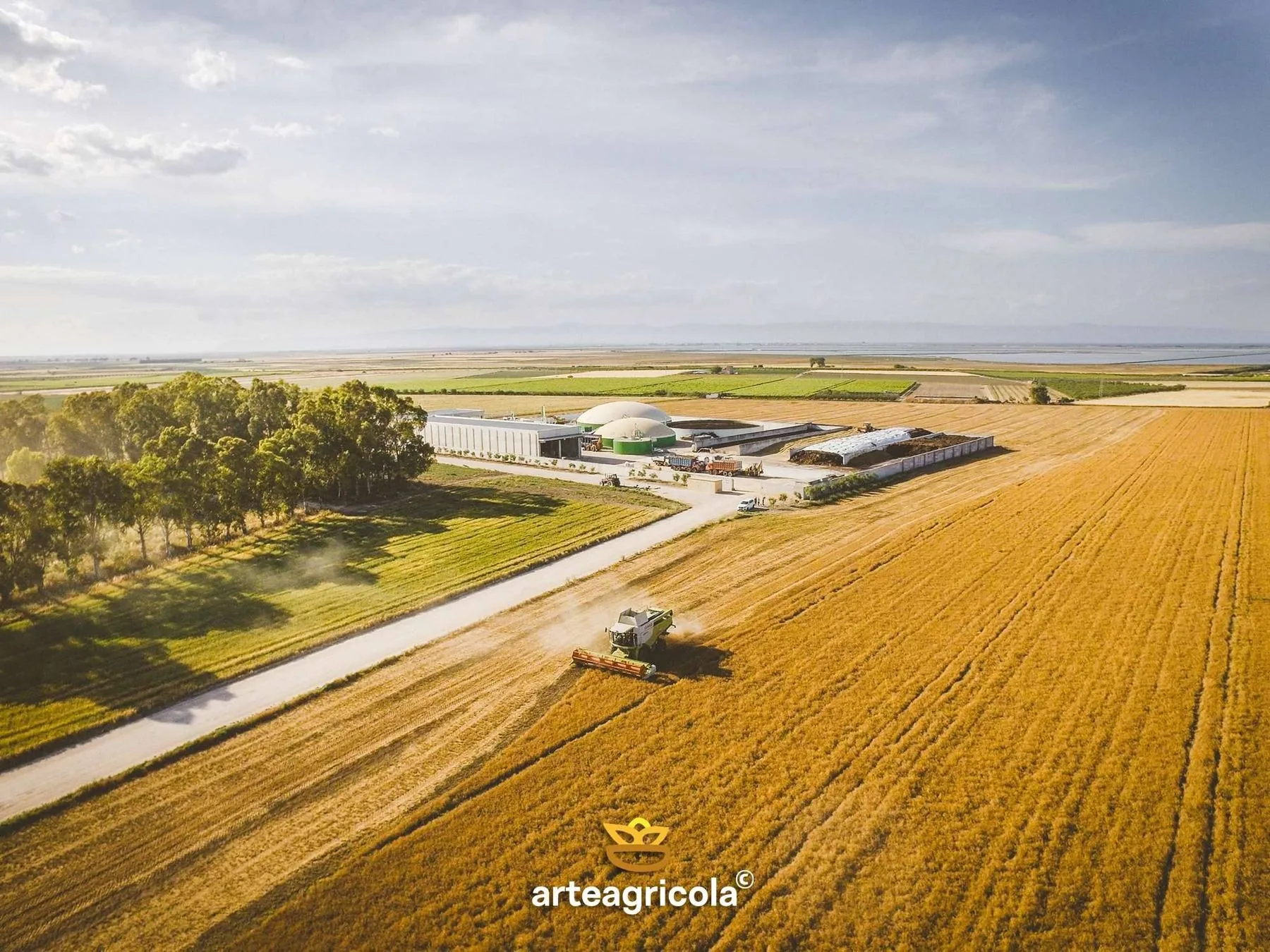 Tavoliere delle Puglie in Capitanata, pianura cerealicola arteagricola secondo granaio d Italia