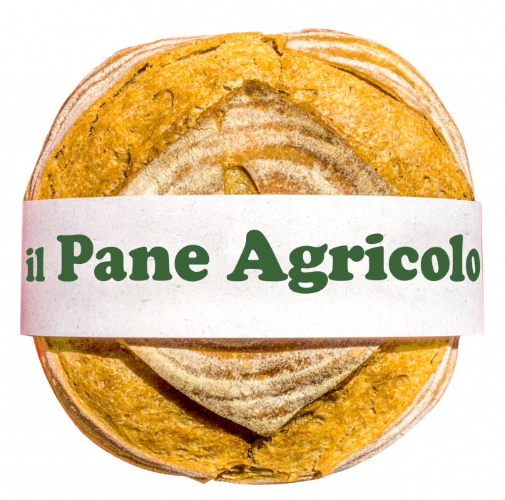 Pane Agricolo E1623234073693