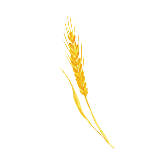 Grano 2