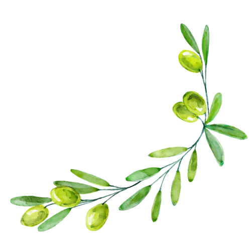 Ulivo